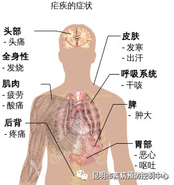 图片29