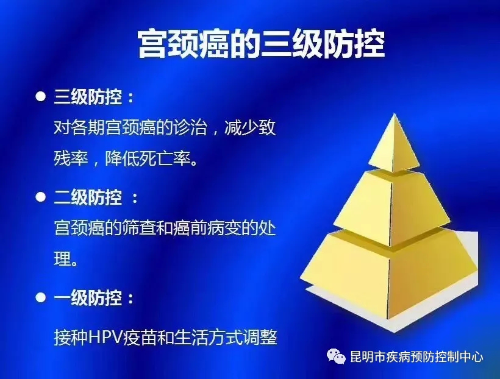 图片16