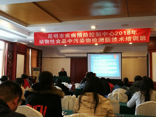 图片11
