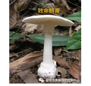 1 1
