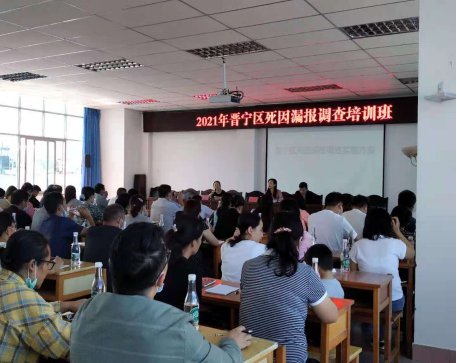 图片5