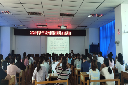 图片6