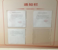 图片11