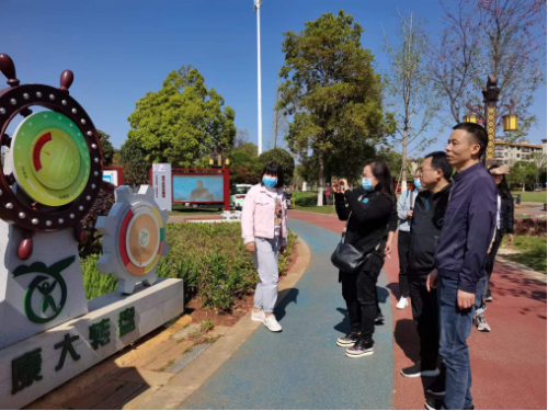 图片7