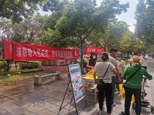 图片3