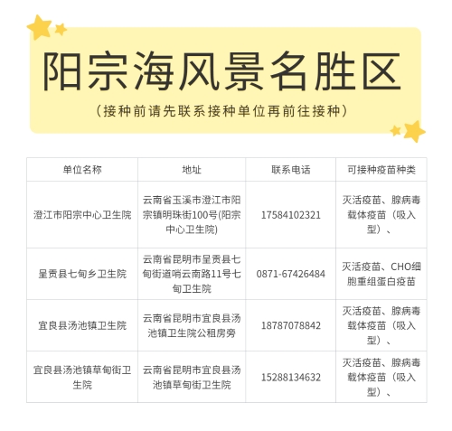 阳宗