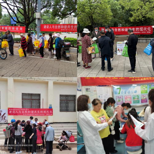 图片4
