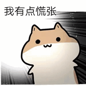 图片13