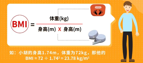 图片6