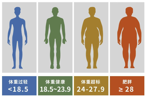 图片7