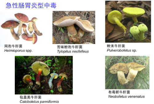 图片12