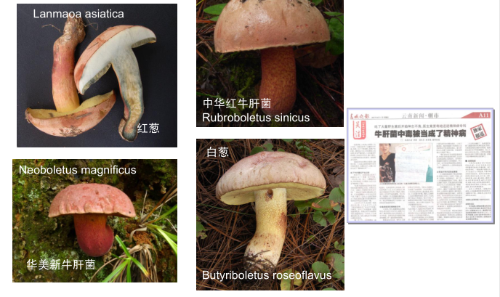 图片13