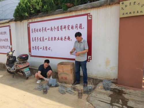 图片9
