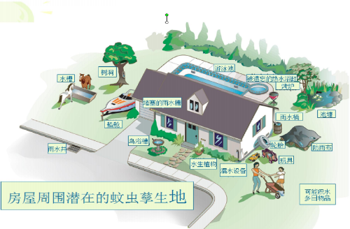 图片5