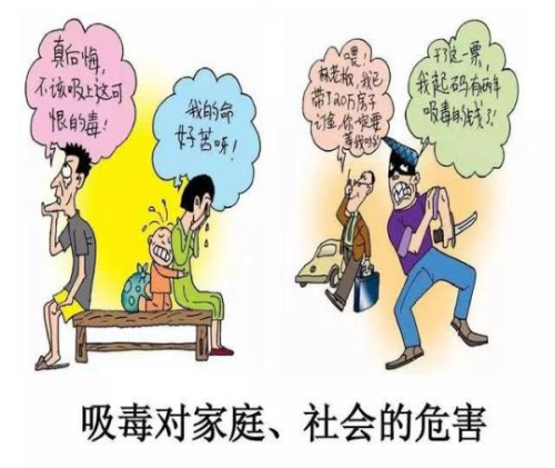图片5