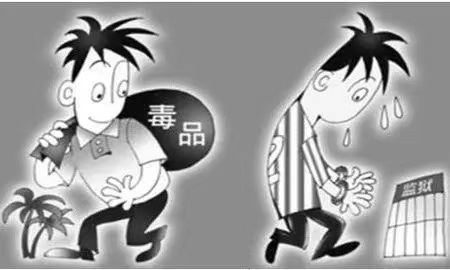 图片6