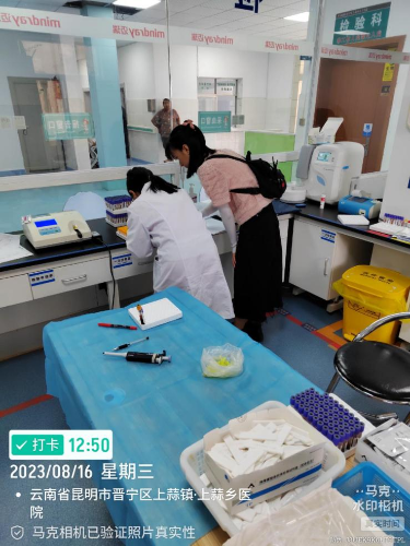 图片9