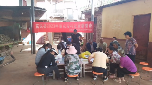 图片4