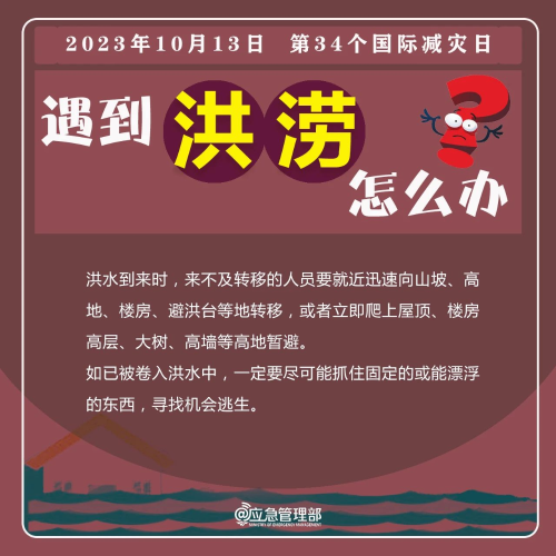 图片5