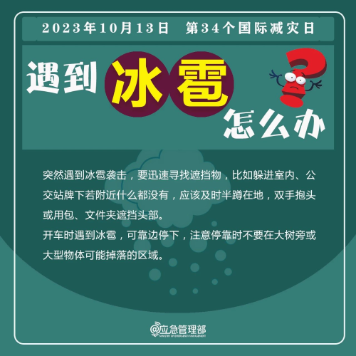 图片8