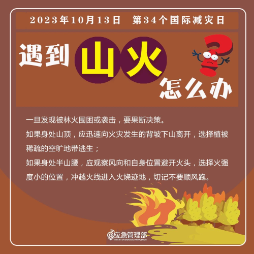图片9