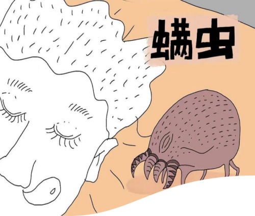 640 (3)