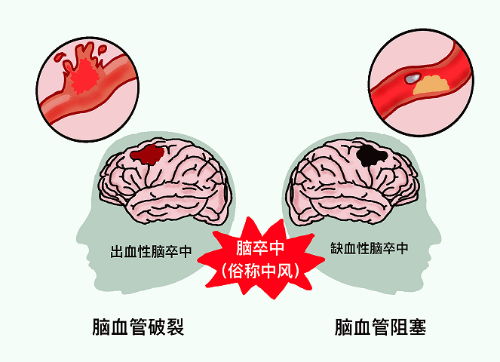 图片8