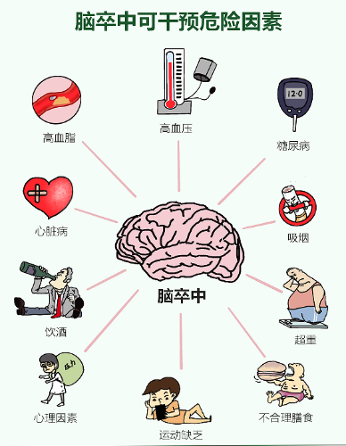 图片11