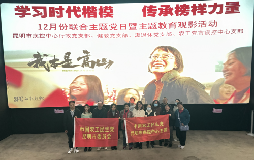 图片8
