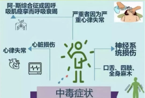 图片7