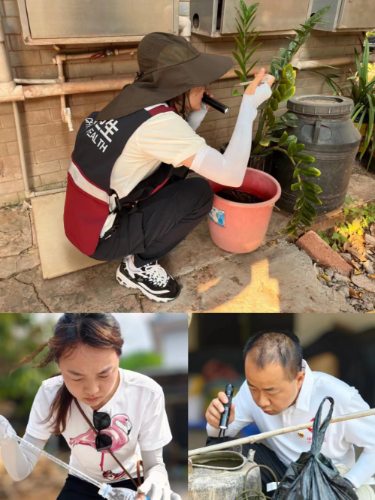 图片8