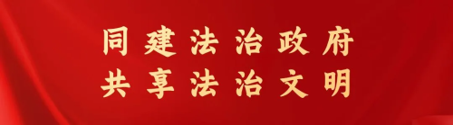 图片10
