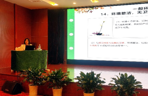 图片11
