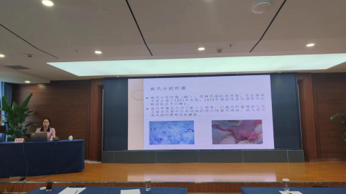 图片20