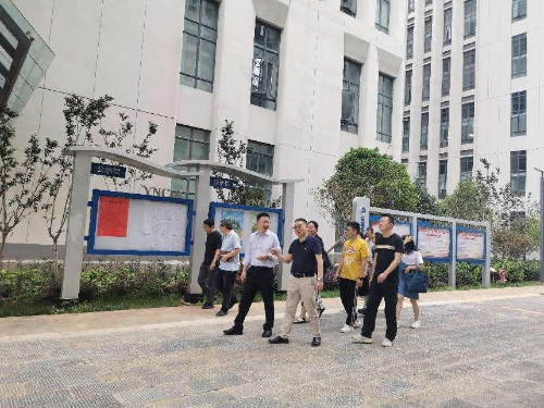 图片7