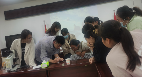图片5