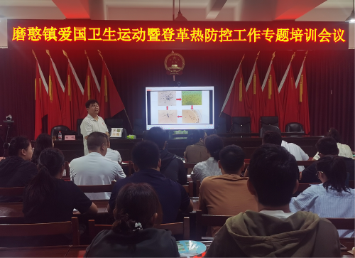 图片6