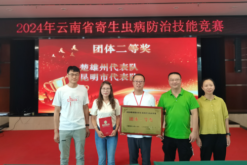 图片6